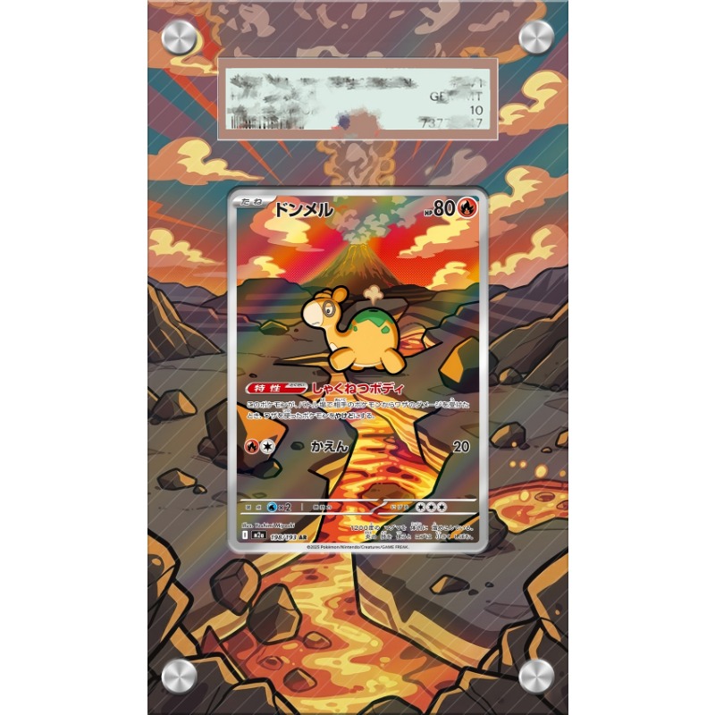 Anime Merchandise From Japan - Pajangan Seni untuk Kartu Pokemon Numel