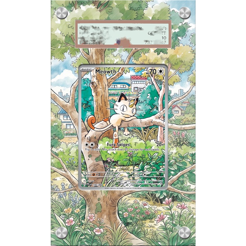 Pajangan Seni untuk Kartu Poke - Anime Merchandise From Japan ulasan dan harga